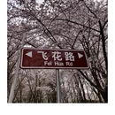 贵阳旅游 缩略图 4
