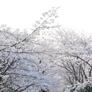 贵阳旅游 缩略图 12