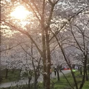 贵阳旅游 缩略图 15