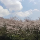 贵阳旅游 缩略图 9