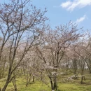 贵阳旅游 缩略图 3