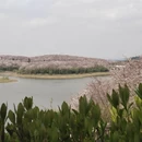 贵阳旅游 缩略图 11