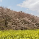 贵阳旅游 缩略图 18