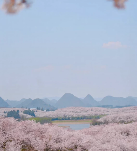 贵阳旅游 1