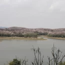 贵阳旅游 缩略图 12