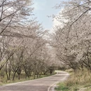 贵阳旅游 缩略图 16