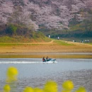 贵阳旅游 缩略图 6