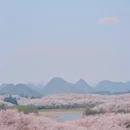 贵阳旅游 缩略图 2
