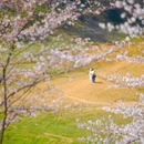 贵阳旅游 缩略图 8