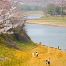 贵阳旅游 缩略图 7