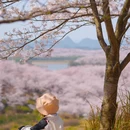 贵阳旅游 缩略图 4