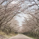 贵阳旅游 缩略图 10