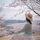 安顺旅游 缩略图 5