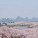 贵阳旅游 缩略图 4