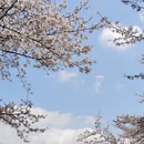 贵阳旅游 缩略图 15