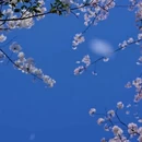贵阳旅游 缩略图 3