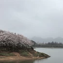 贵阳旅游 缩略图 5