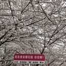 贵阳旅游 缩略图 9