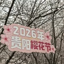 贵阳旅游 缩略图 11