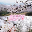 贵阳旅游 缩略图 1