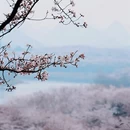 贵阳旅游 缩略图 6