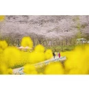 贵阳旅游 缩略图 11