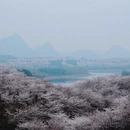 贵阳旅游 缩略图 8