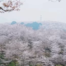 贵阳旅游 缩略图 2
