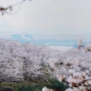 贵阳旅游 缩略图 5