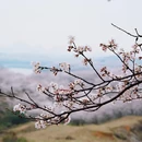 贵阳旅游 缩略图 4
