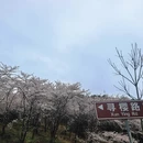 贵阳旅游 缩略图 2