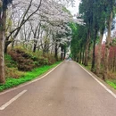 贵阳旅游 缩略图 4