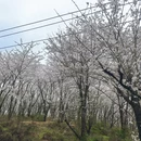 贵阳旅游 缩略图 5