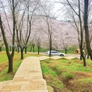 贵阳旅游 缩略图 3