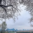贵阳旅游 缩略图 9