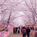 贵阳旅游 缩略图 2