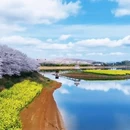 贵阳旅游 缩略图 4