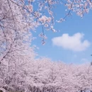 贵阳旅游 缩略图 1