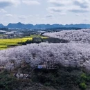 贵阳旅游 缩略图 3