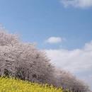 贵阳旅游 缩略图 1