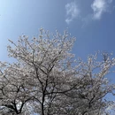 贵阳旅游 缩略图 9