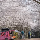 贵阳旅游 缩略图 7