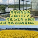 贵阳旅游 缩略图 1