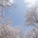 贵阳旅游 缩略图 4