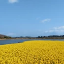 贵阳旅游 缩略图 7