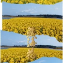 贵阳旅游 缩略图 6