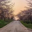 贵阳旅游 缩略图 3