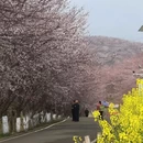 贵阳旅游 缩略图 1