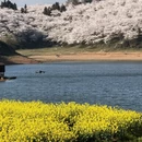 贵阳旅游 缩略图 9