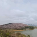 贵阳旅游 缩略图 5